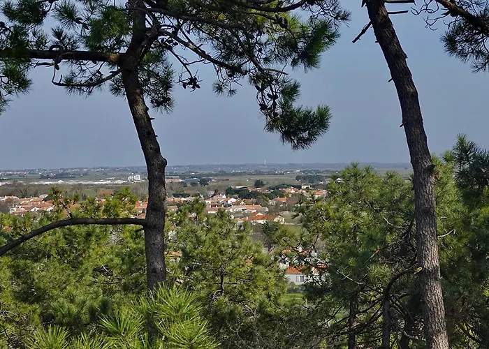 Maison De Famille A St Hilaire De Riez